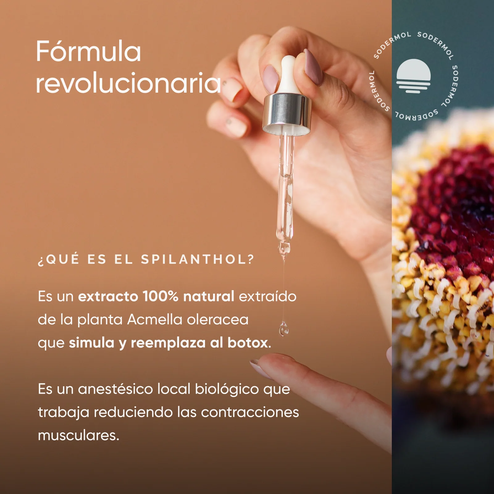 Imagen del producto 5